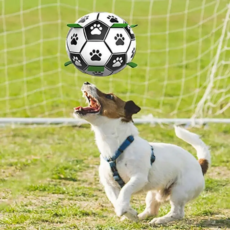 Interactive Pet Football Dog Toys Grab Tabs Outdoor Training Soccer Chew Balls