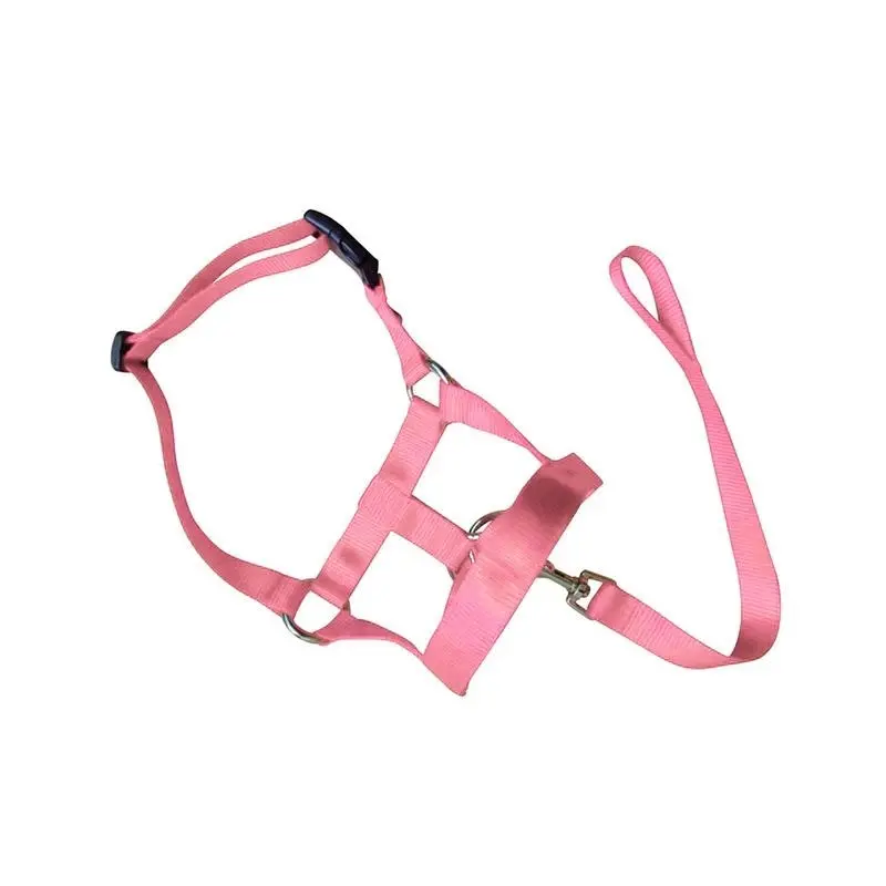 Pink Dog Training Head Collar Halter Stop Pulling Training Tool Harness Strap Leader