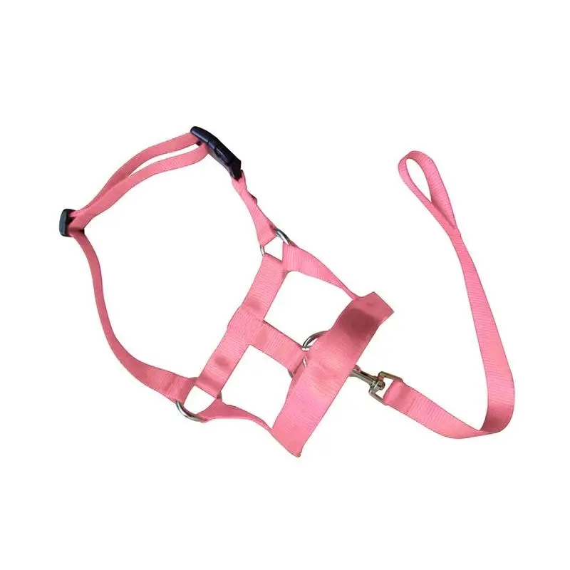 Pink Dog Training Head Collar Halter Stop Pulling Training Tool Harness Strap Leader