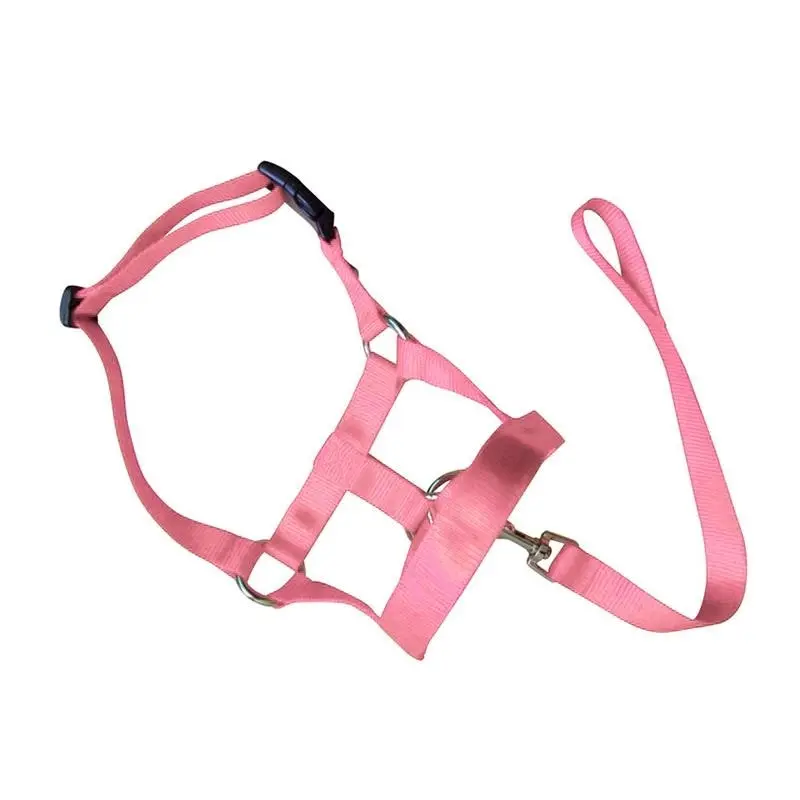 Pink Dog Training Head Collar Halter Stop Pulling Training Tool Harness Strap Leader