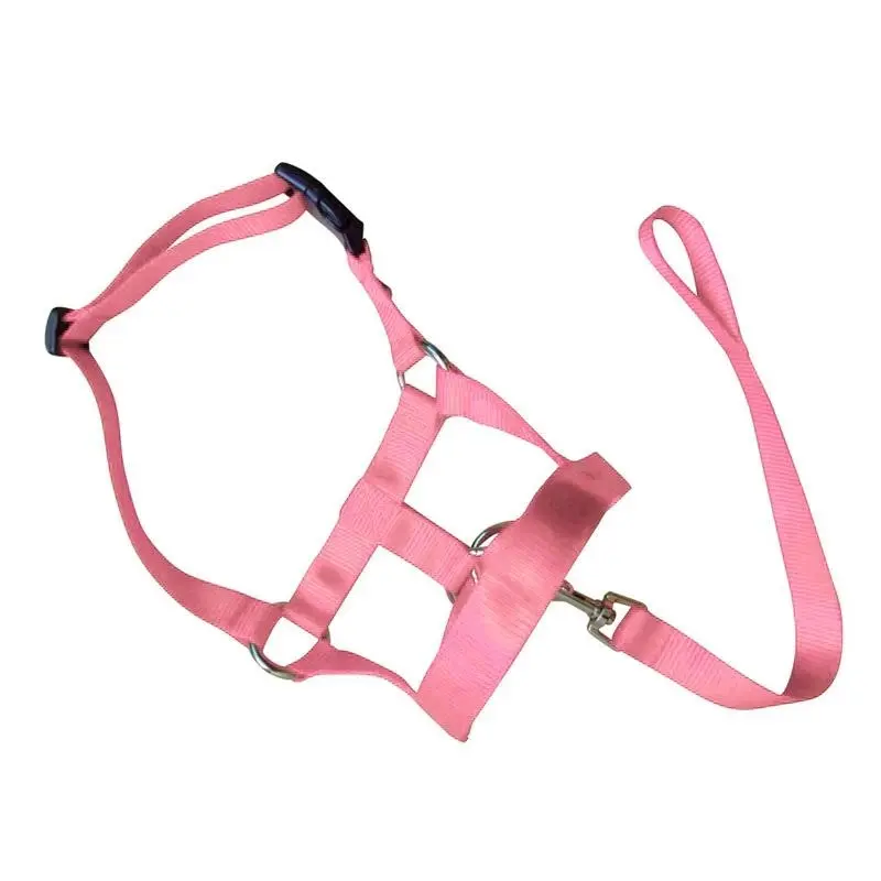 Pink Dog Training Head Collar Halter Stop Pulling Training Tool Harness Strap Leader