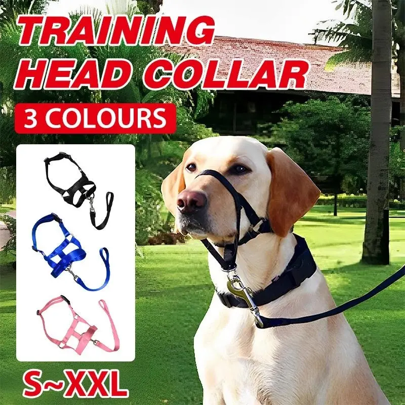 Pink Dog Training Head Collar Halter Stop Pulling Training Tool Harness Strap Leader