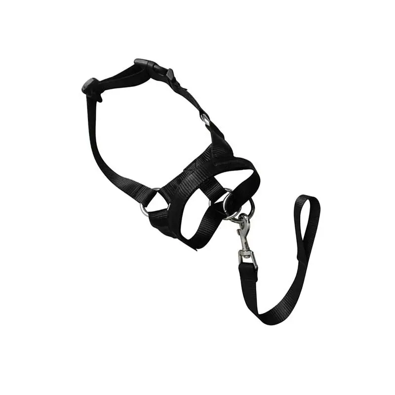 Black Dog Training Head Collar Halter Stop Pulling Training Tool Harness Strap Leader