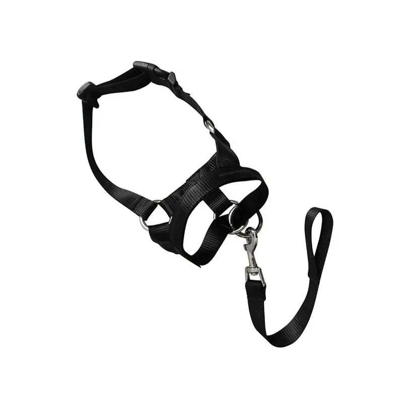 Black Dog Training Head Collar Halter Stop Pulling Training Tool Harness Strap Leader