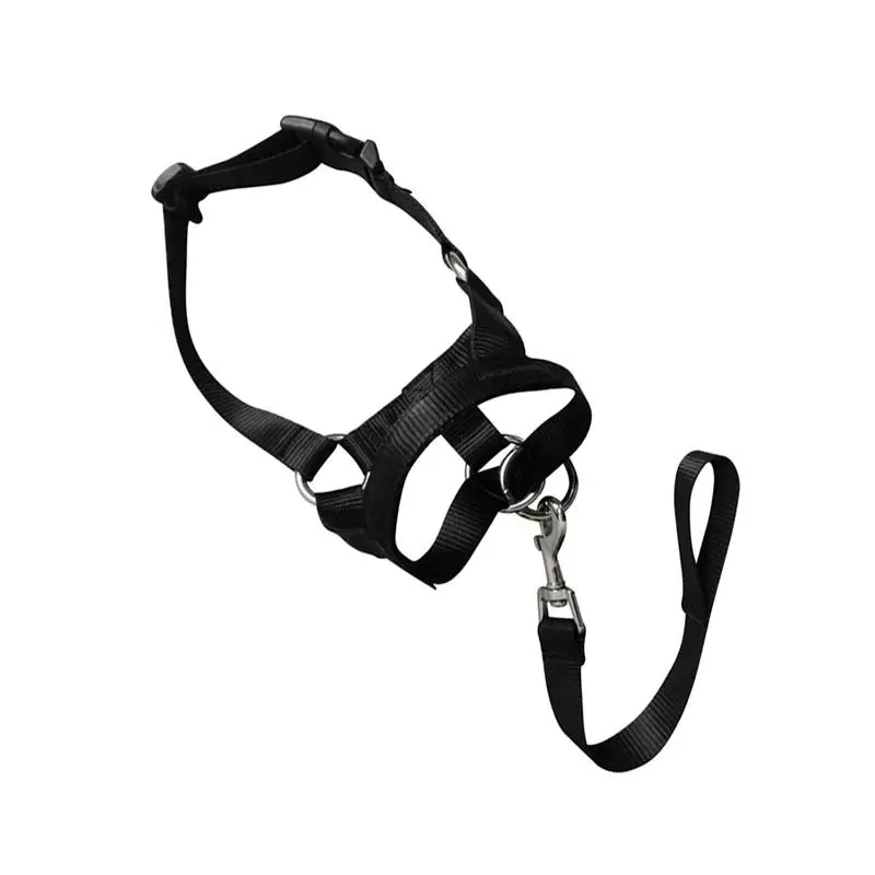 Black Dog Training Head Collar Halter Stop Pulling Training Tool Harness Strap Leader