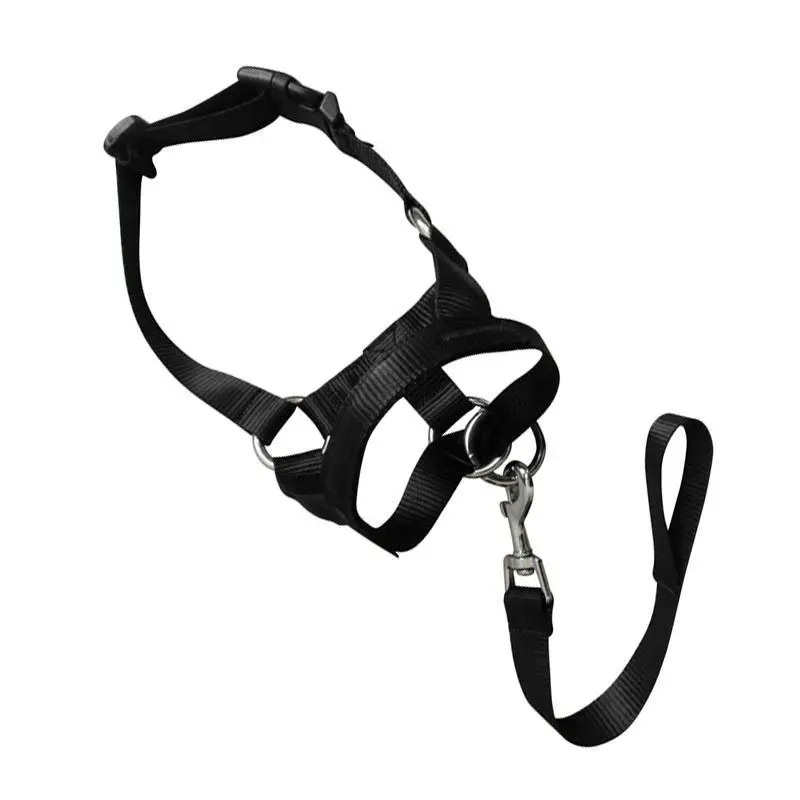 Black Dog Training Head Collar Halter Stop Pulling Training Tool Harness Strap Leader