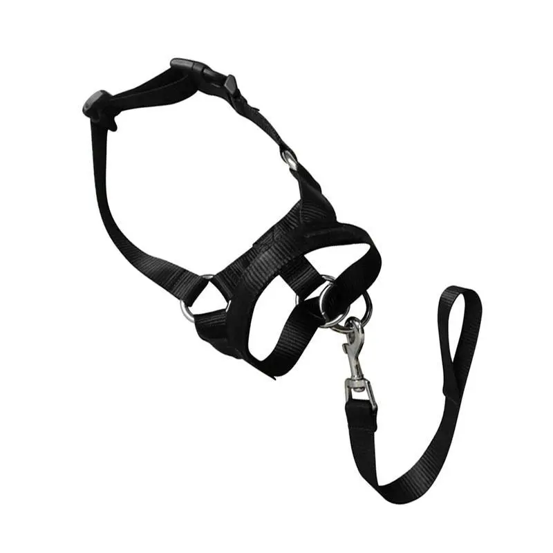 Black Dog Training Head Collar Halter Stop Pulling Training Tool Harness Strap Leader