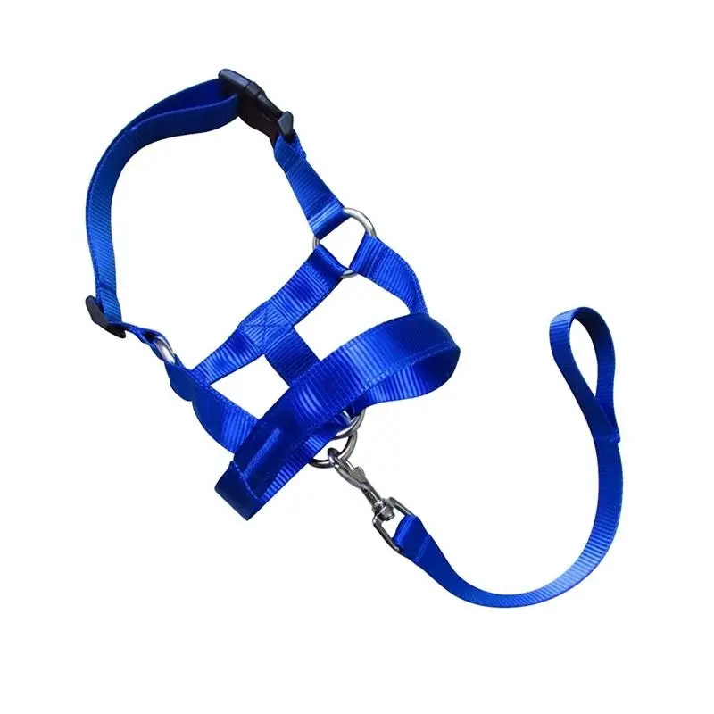 Blue Dog Training Head Collar Halter Stop Pulling Training Tool Harness Strap Leader