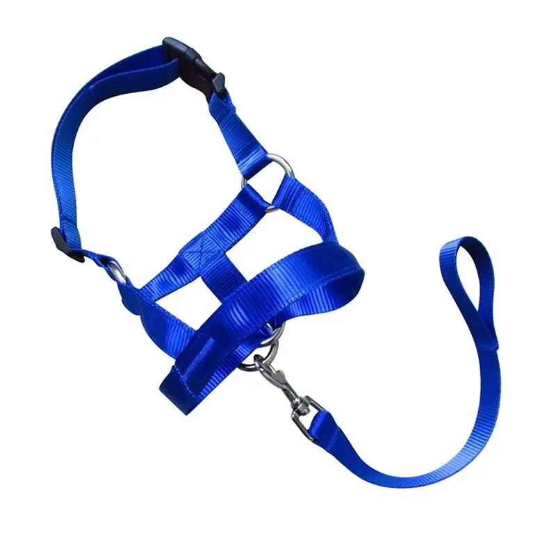 Blue Dog Training Head Collar Halter Stop Pulling Training Tool Harness Strap Leader