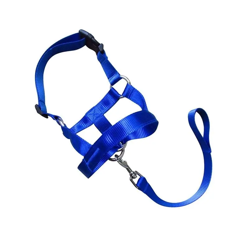 Blue Dog Training Head Collar Halter Stop Pulling Training Tool Harness Strap Leader