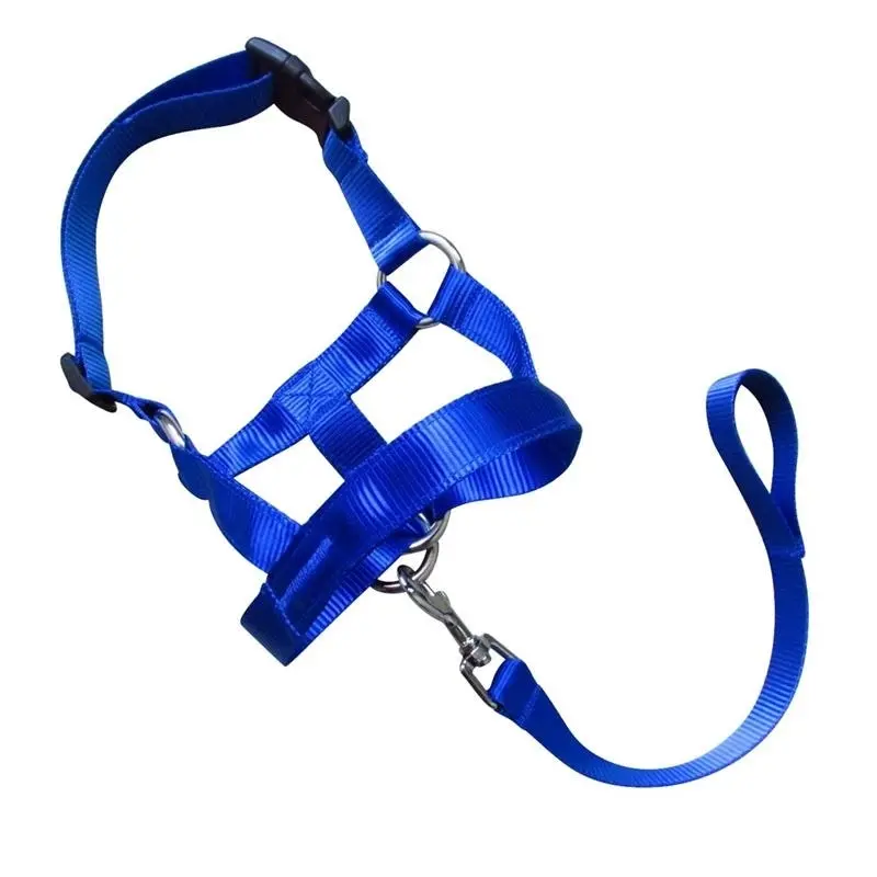 Blue Dog Training Head Collar Halter Stop Pulling Training Tool Harness Strap Leader