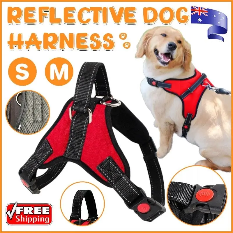 S-M Front Range No-Pull Dog Harness Vest Adjustable Outdoor Handle Puppy Pet