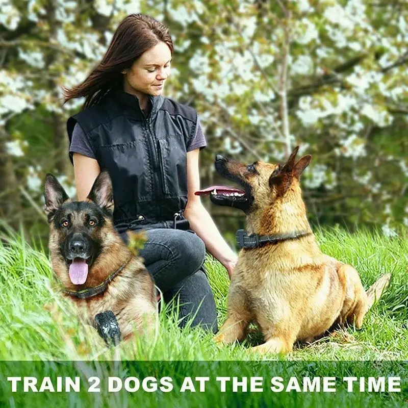 Electric Dog Pet Training E-Collar Obedience Rechargeable Remote Control 800M AU