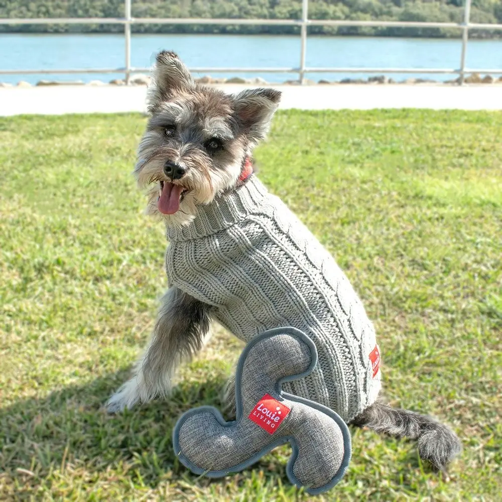 2PK Louie Living Urban Pet/Dog/Cat Durable Squeaker Bite/Chew Toy Frisbee Plush