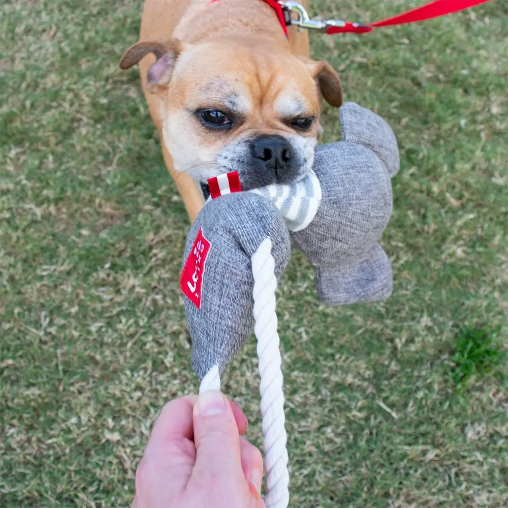 2PK Louie Living Urban Pet/Dog/Cat Durable Rope Chew/Bite Toy Elias the Elephant