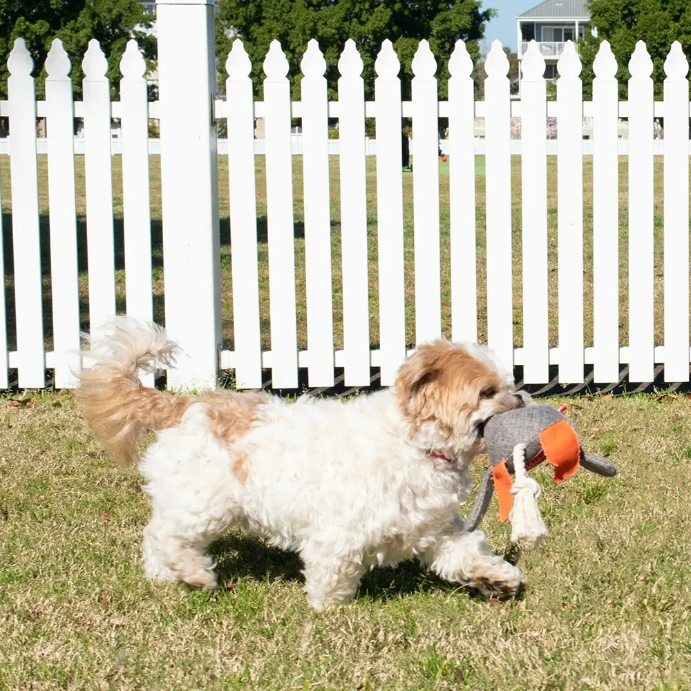 2x Louie Living Urban 30cm Dodo The Duck Interactive Dog/Pet Fun Squeaker Toy GR