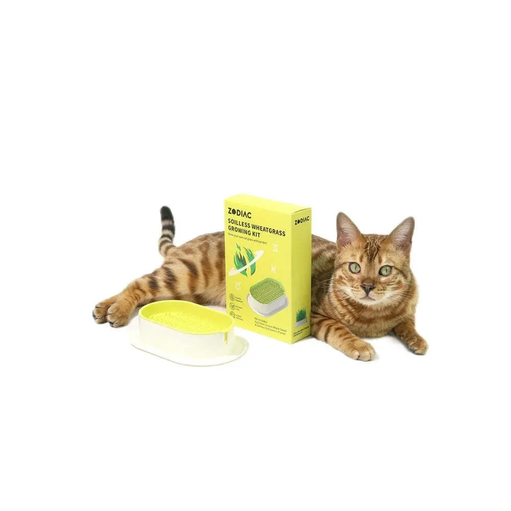 2x Zodiac Soilless Wheatgrass Growing Kit Pet/Cat Feeding Healthy Snack Yellow