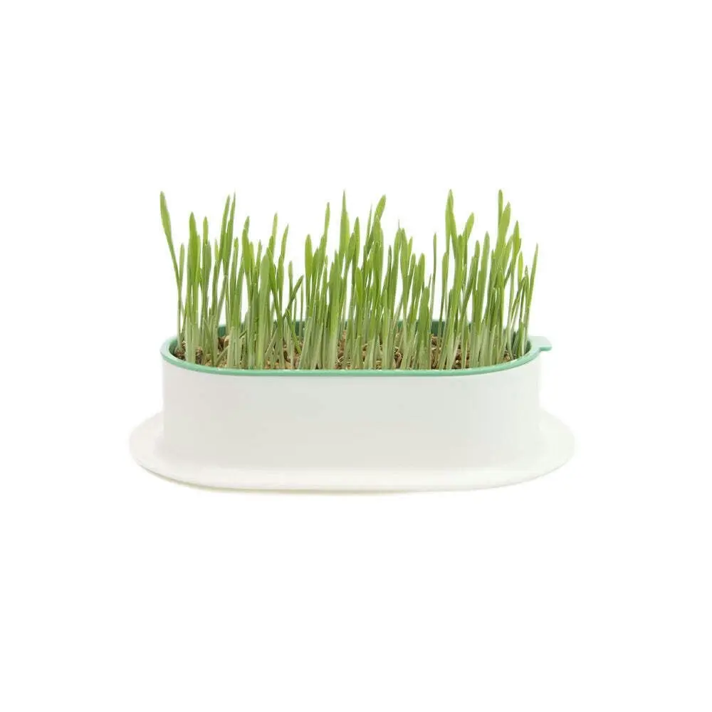 2x Zodiac Soilless Wheatgrass Growing Kit Pet/Cat Feed Healthy Grass Snack Green