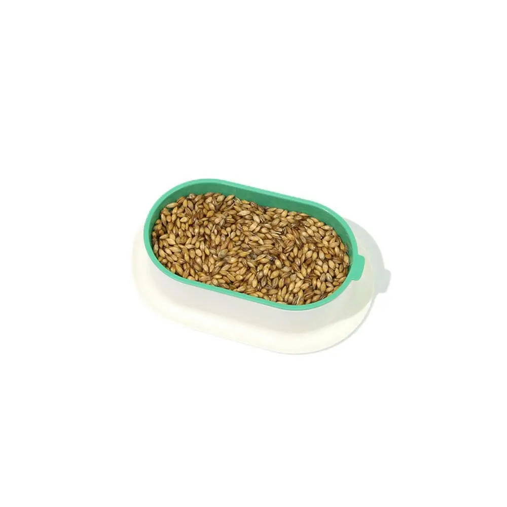 2x Zodiac Soilless Wheatgrass Growing Kit Pet/Cat Feed Healthy Grass Snack Green