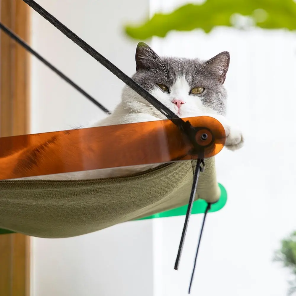 Pidan Pet/Cat 62cm Air & Folding Bed Sleeping Hanging Window Mounted Hammock