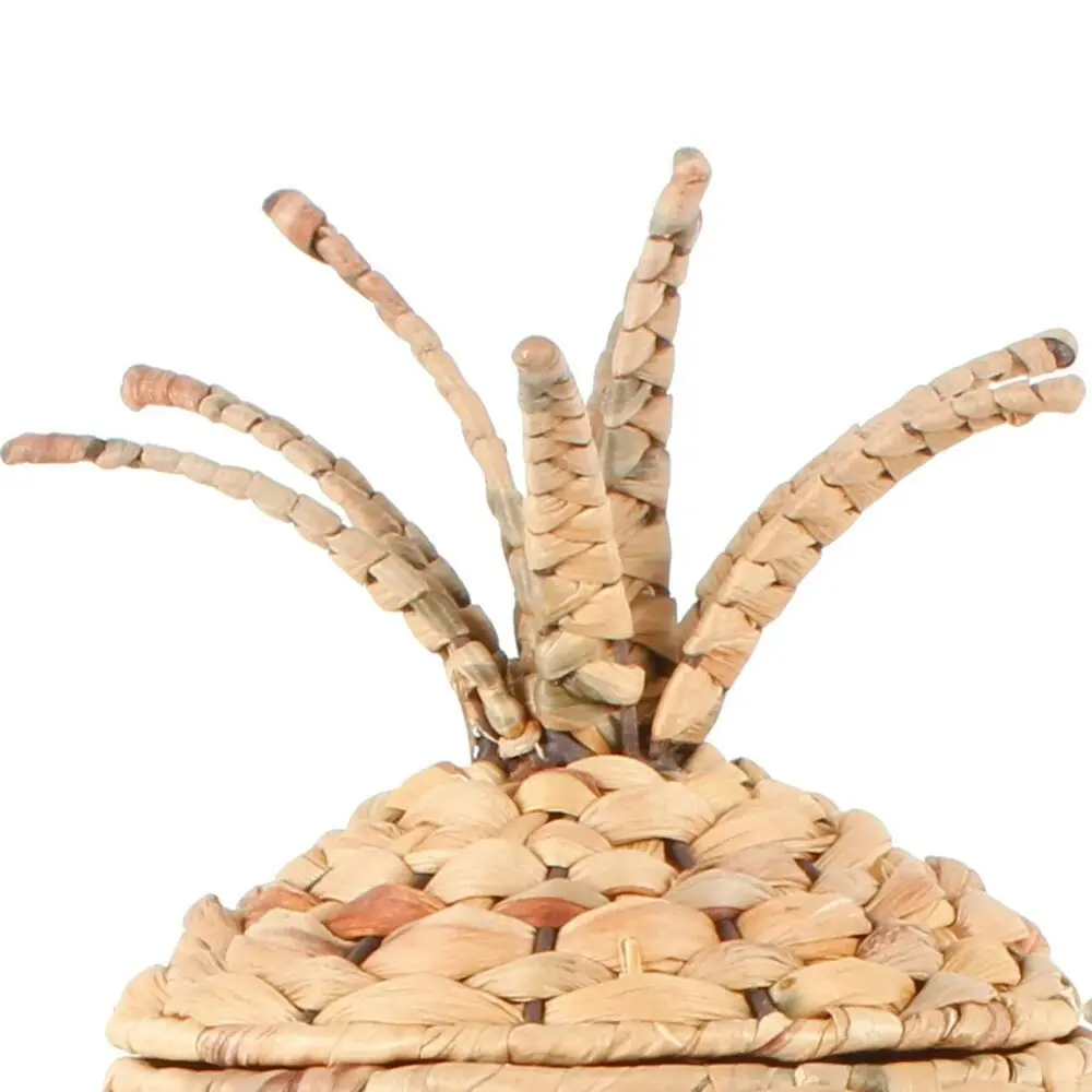 2pc Maine & Crawford Pippi 28/40cm Pineapple Basket Storage Set w/ Lid Natural