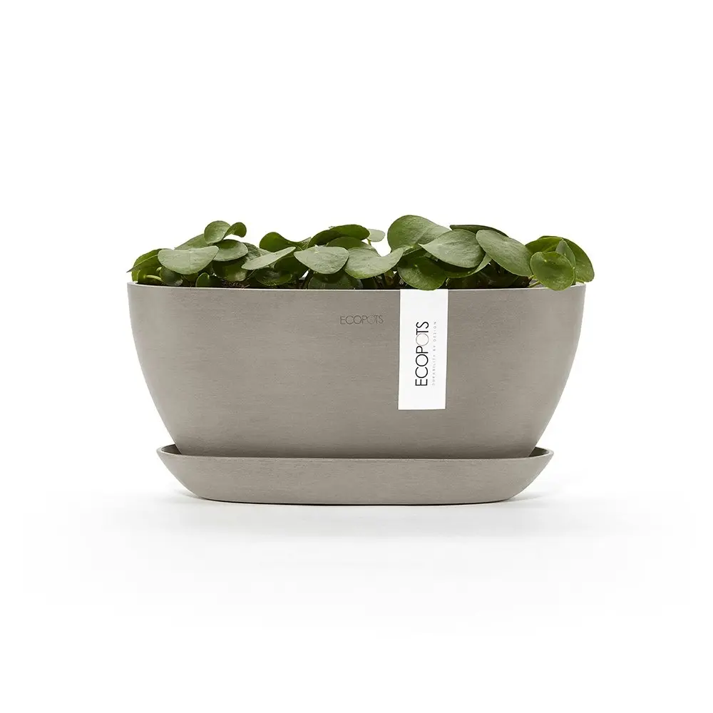 EcoPots Sofia 30x13.5cm Indoor/Outdoor Garden Plant Pot Self Watering Taupe