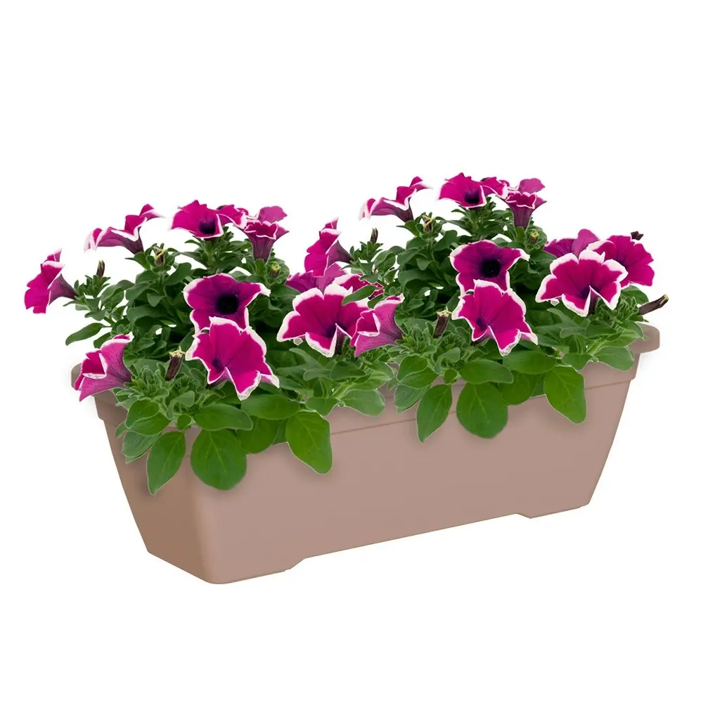 2x Artevasi Venezia 50x16.3cm Plastic Indoor/Outdoor Planter Box Taupe