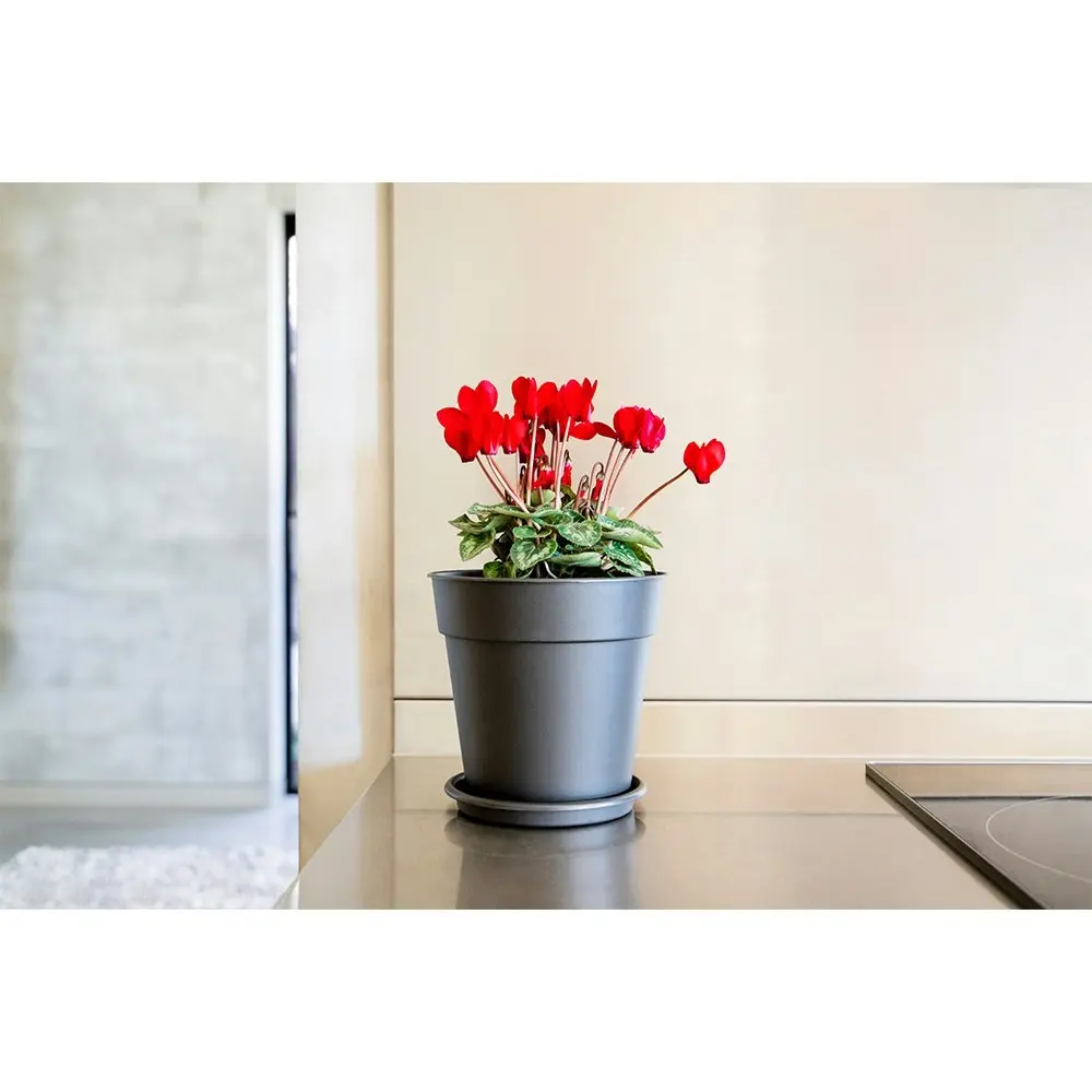 Artevasi Madagascar Plastic Indoor/Outdoor Garden Plant Pot 40x38.5cm Anthracite