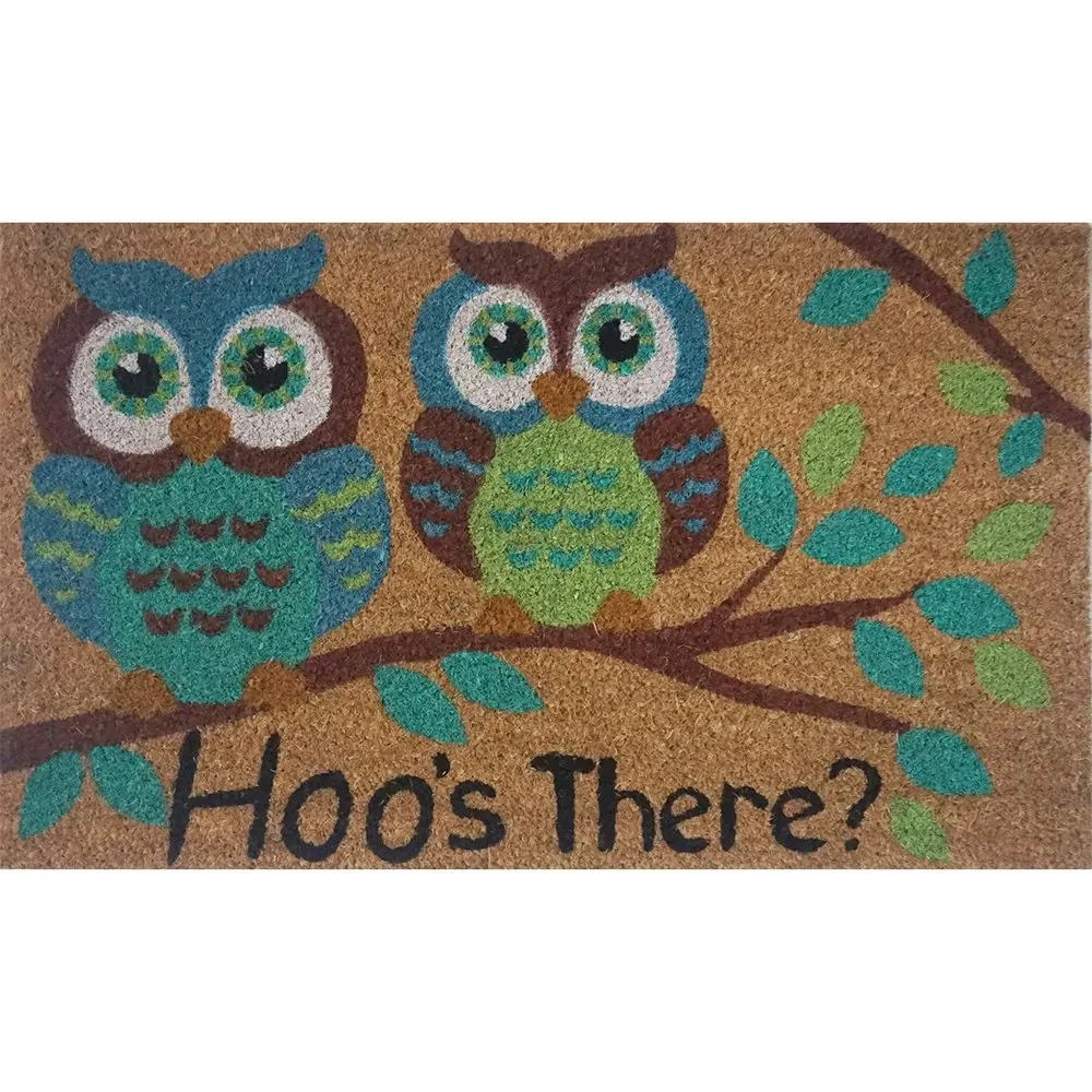 Solemate Latex Backed Coir Hoo''s There 45x75cm Slim Outdoor Stylish Doormat