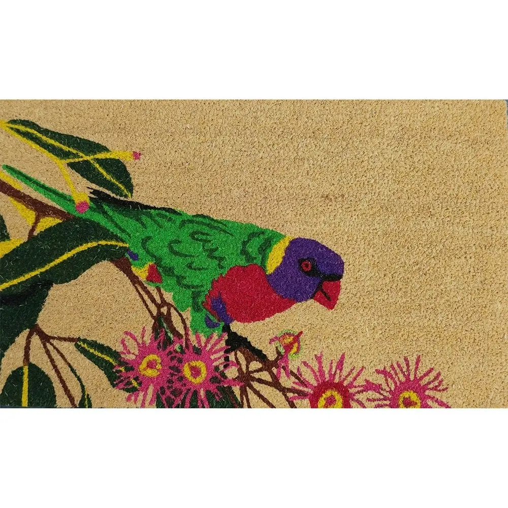 Solemate Latex Backed Coir Lorikeet 45x75cm Slimline Outdoor Stylish Doormat