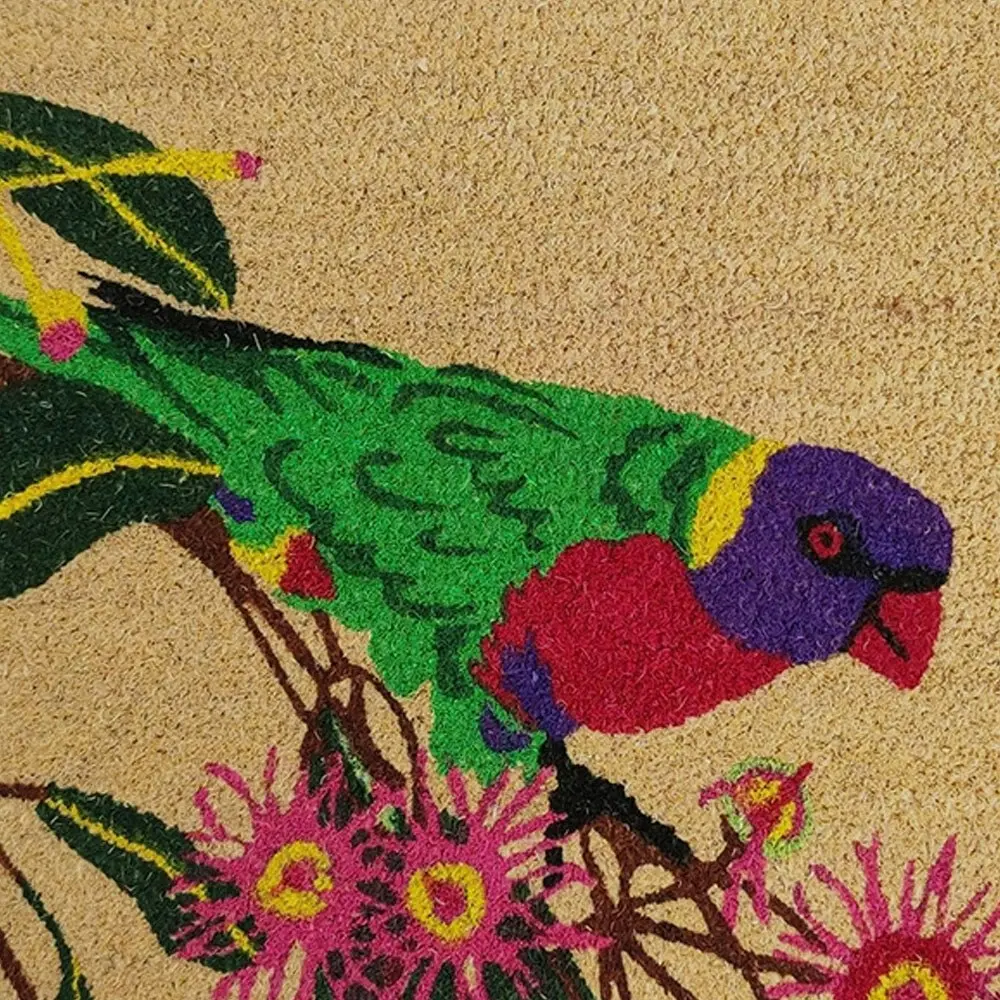 Solemate Latex Backed Coir Lorikeet 45x75cm Slimline Outdoor Stylish Doormat