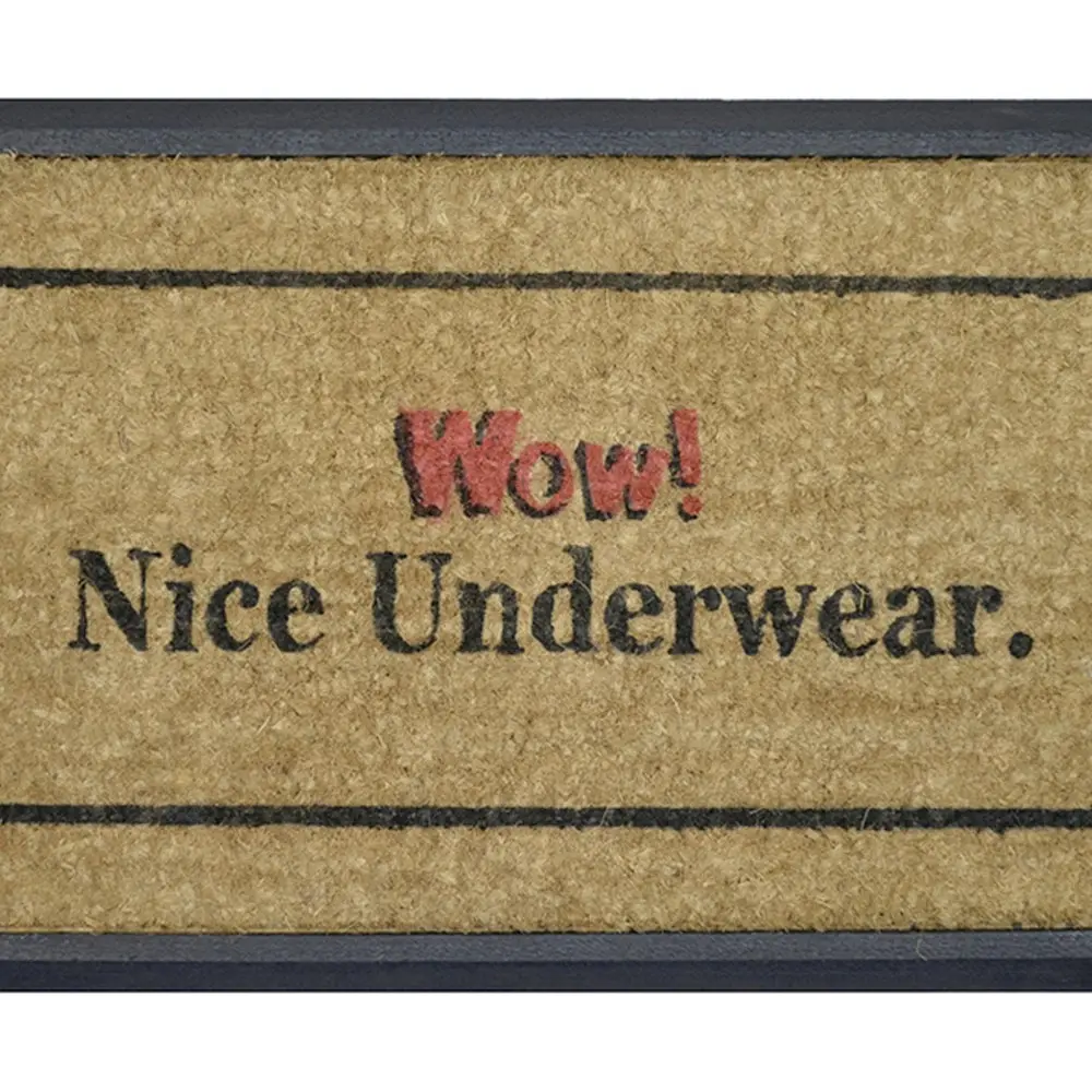 Solemate Nice Underwear 40x70cm Themed Stylish Durable Outdoor Front Doormat