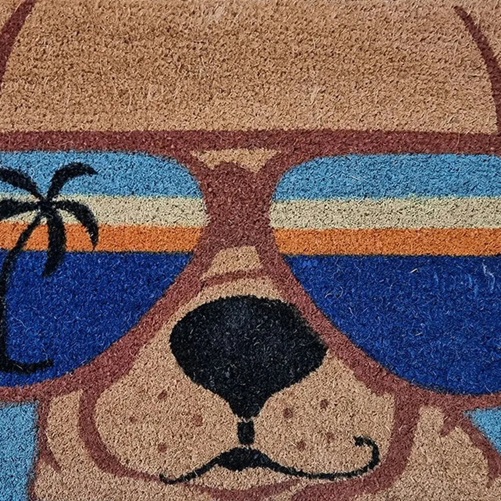 Solemate PVC Coir Puppy Sunnies 50x80cm Stylish Durable Outdoor Front Doormat