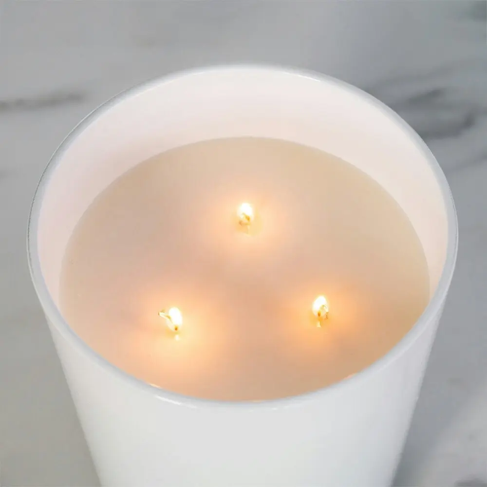 Canningvale Large 13.8cm Scented Soy Wax Candle Home Decor Finger Lime & Coconut