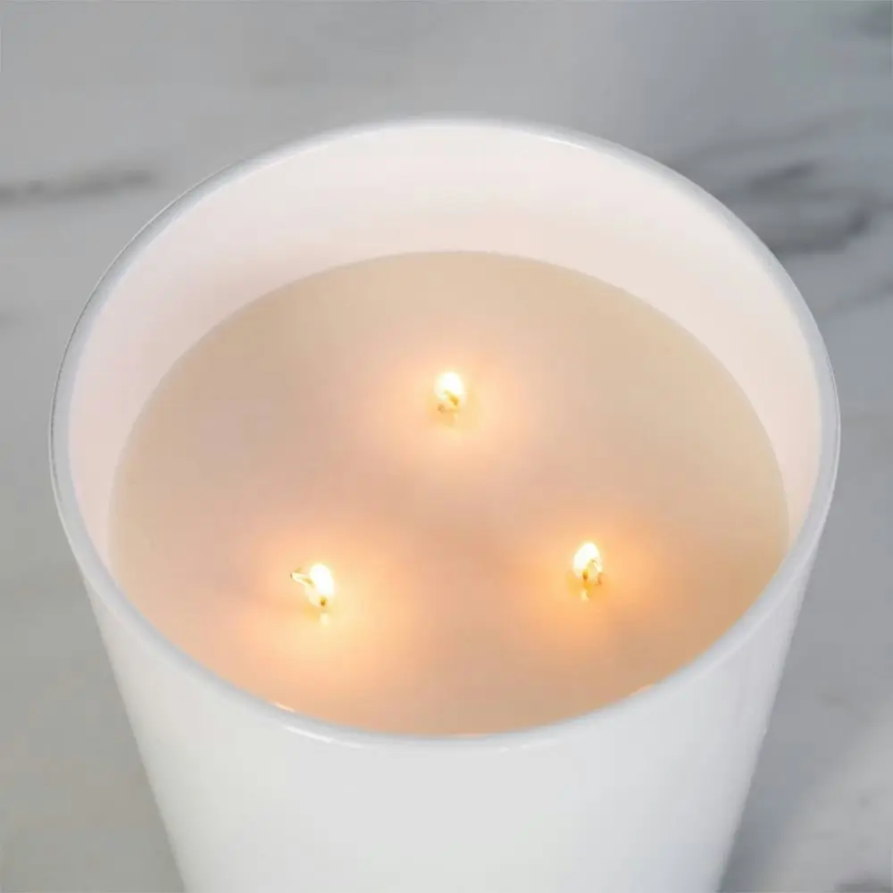 Canningvale Large 13.8cm Scented Soy Wax Candle Home Fragrance Decor Riviera