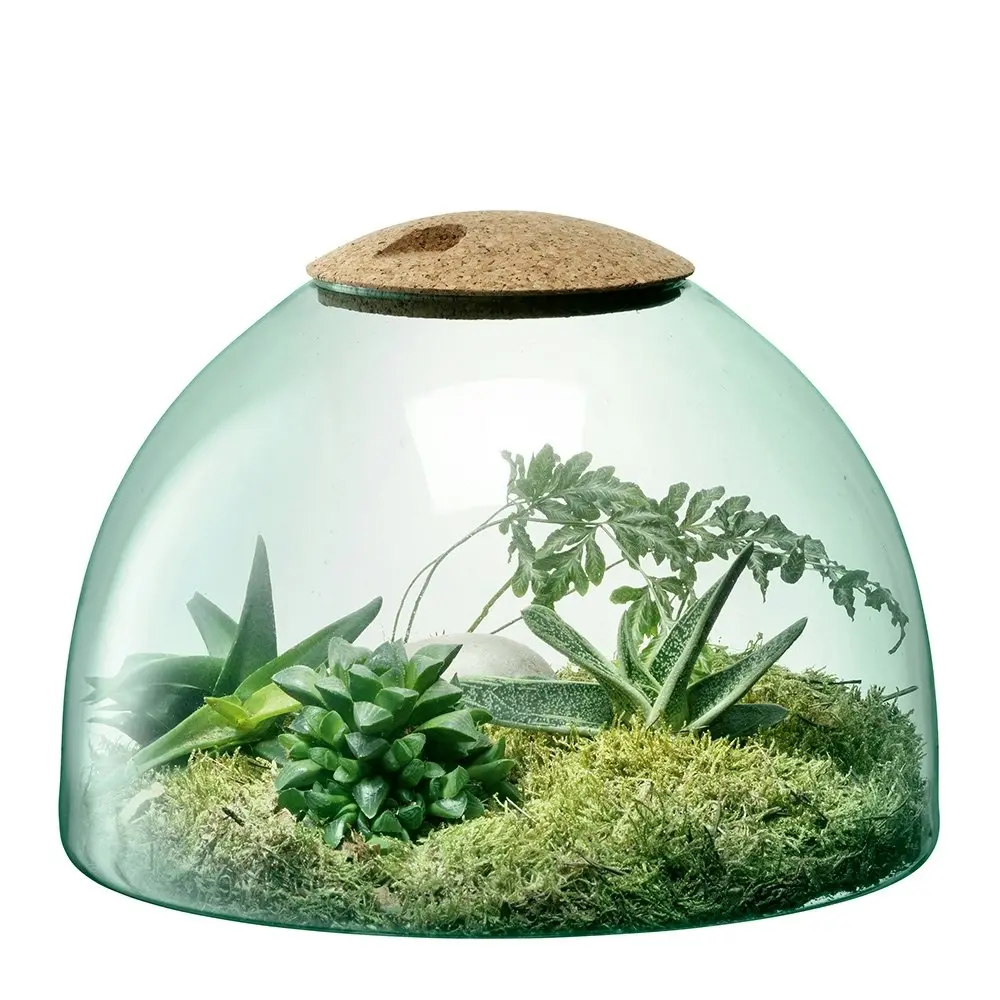 LSA International 22cm Canopy Enclosed Garden Indoor Terrarium Recycled/Handmade