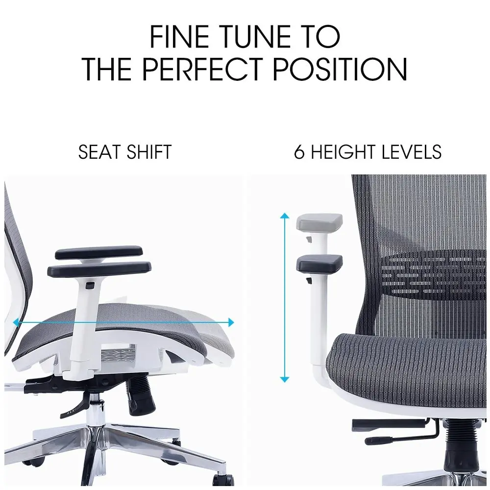 Fortia Ergonomic Office Desk Chair, Coolmesh Fabric, Headrest, Adjustable Lumbar Support, Armrests and Recline, Dark Grey Mesh/White Frame