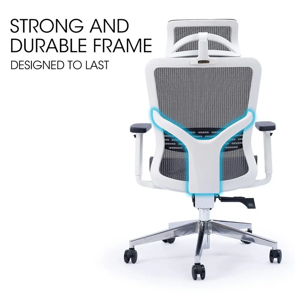 Fortia Ergonomic Office Desk Chair, Coolmesh Fabric, Headrest, Adjustable Lumbar Support, Armrests and Recline, Dark Grey Mesh/White Frame