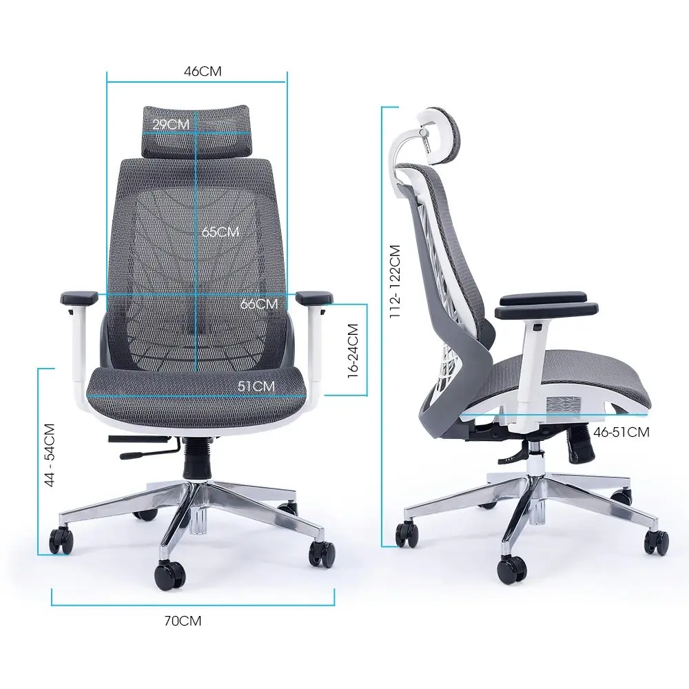 Fortia Ergonomic Office Desk Chair, Coolmesh Fabric, Headrest, Adjustable Lumbar Support, Recline and Armrests, Dark Grey Mesh/White Frame