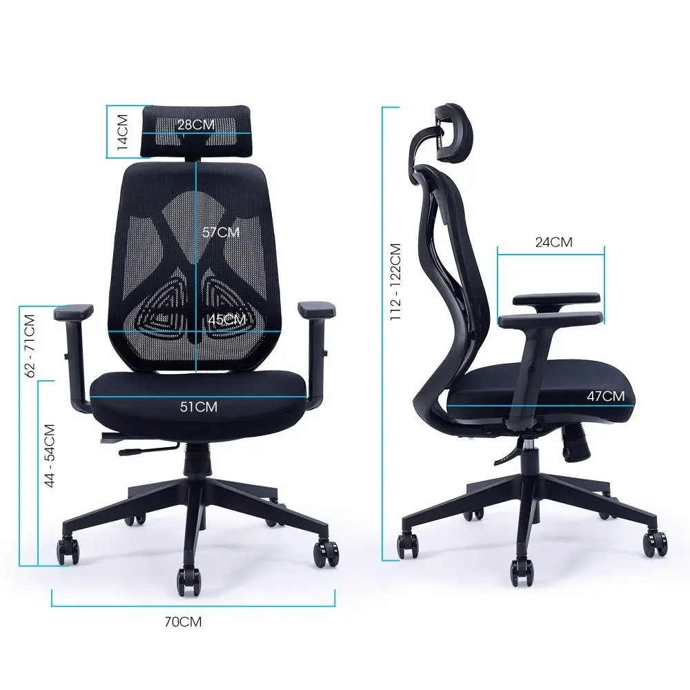 Fortia Ergonomic Office Desk Chair, with Adjustable Lumbar Support and Headrest, Black Mesh/Black Frame