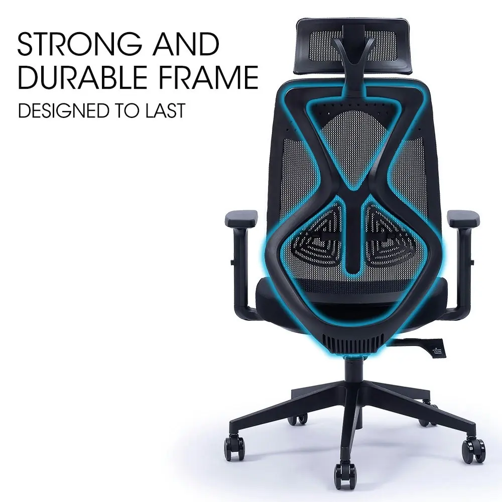 Fortia Ergonomic Office Desk Chair, with Adjustable Lumbar Support and Headrest, Black Mesh/Black Frame