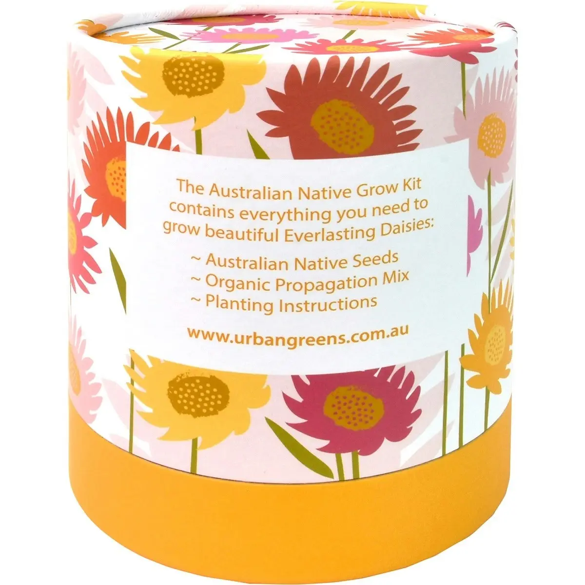 URBAN GREENS Australian Native Grow Kit Everlasting Daisies 1