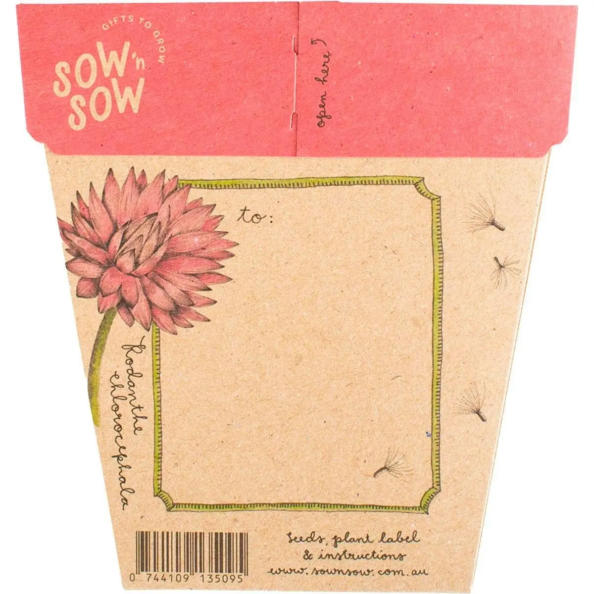 SOW 'N SOW Gift Of Seeds Everlasting Daisy 1