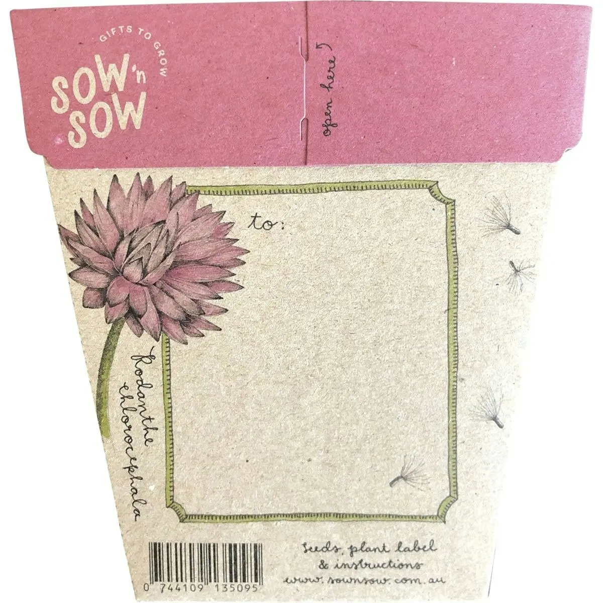 SOW 'N SOW Gift Of Seeds Everlasting Daisy 1