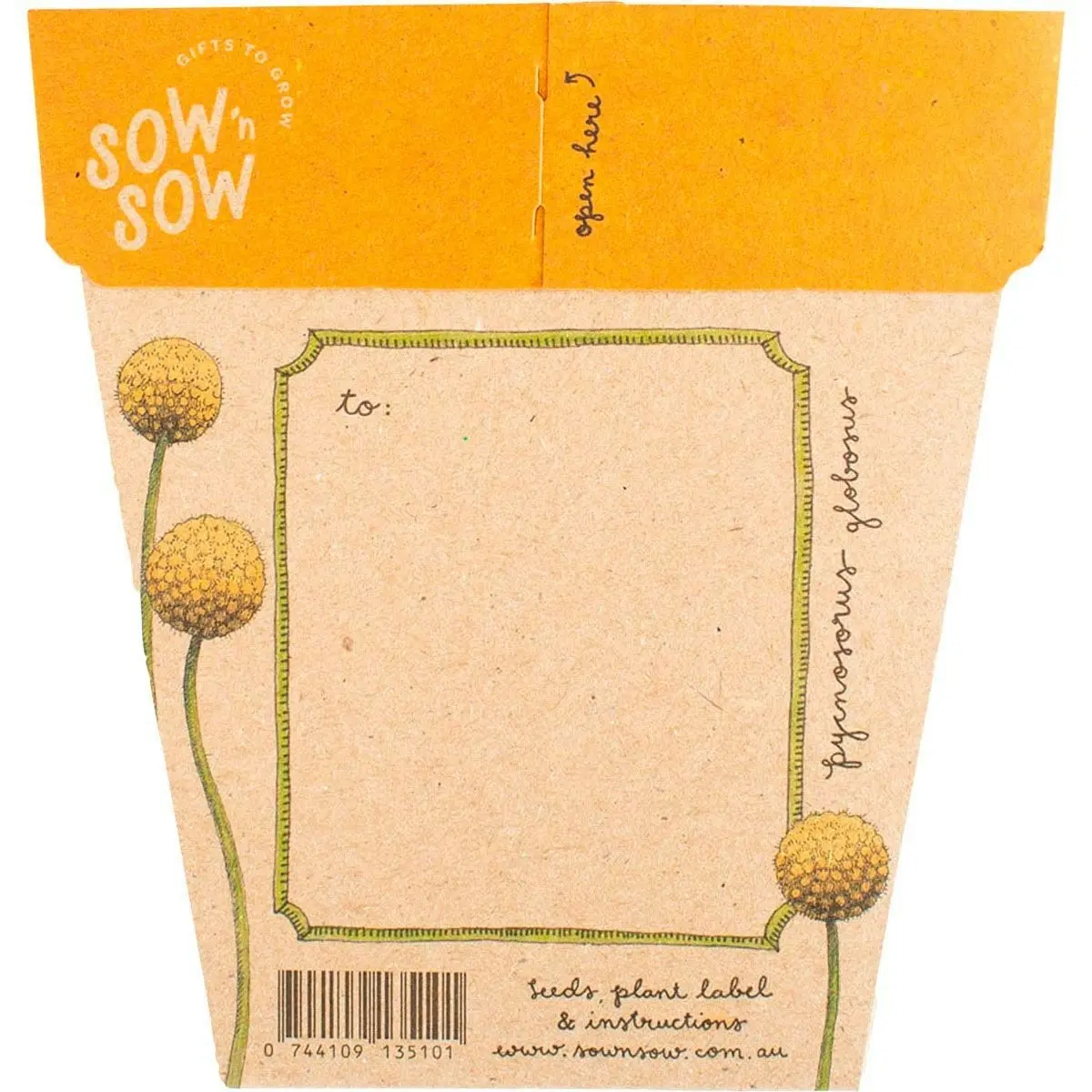 SOW 'N SOW Gift Of Seeds Billy Buttons 1