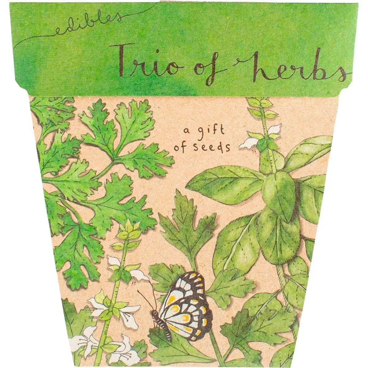 SOW 'N SOW Gift Of Seeds Trio Of Herbs 1