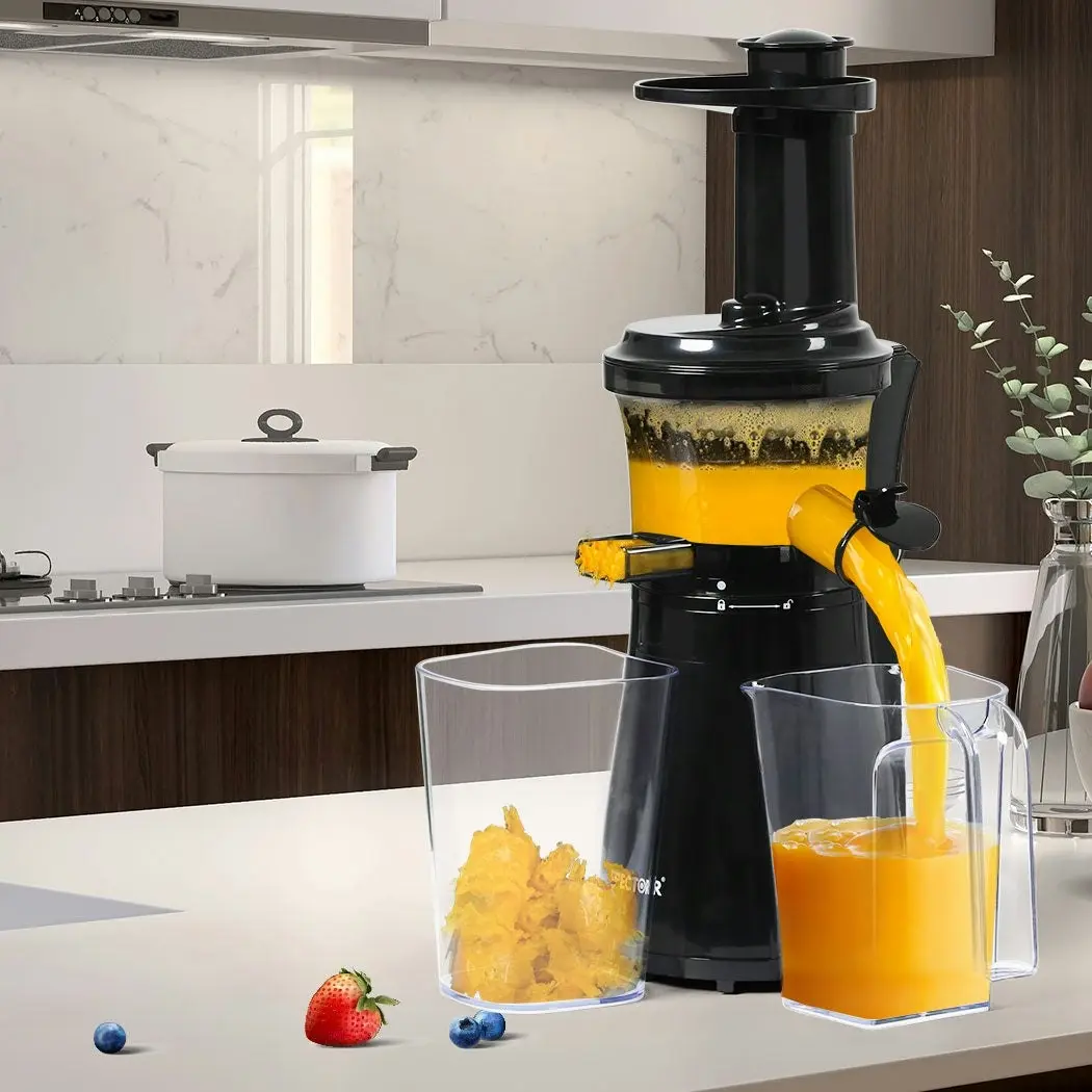 Spector Cold Press Slow Juicer Electric Fruit Juice Extractor Vegetable Processor