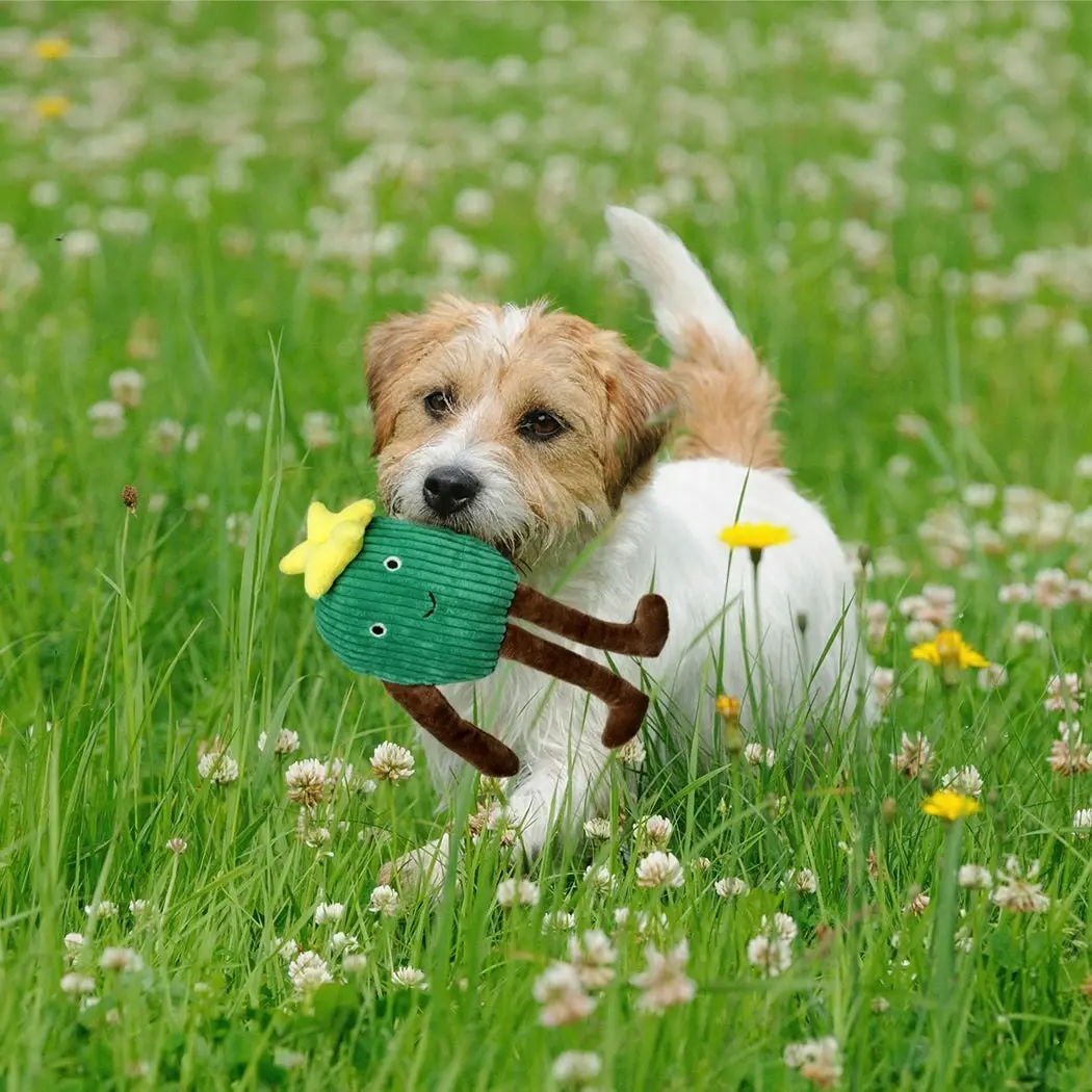 Pawz Dog Chew Toys Squeaky Puppy Soft Plush Non-toxic Teething Interactive