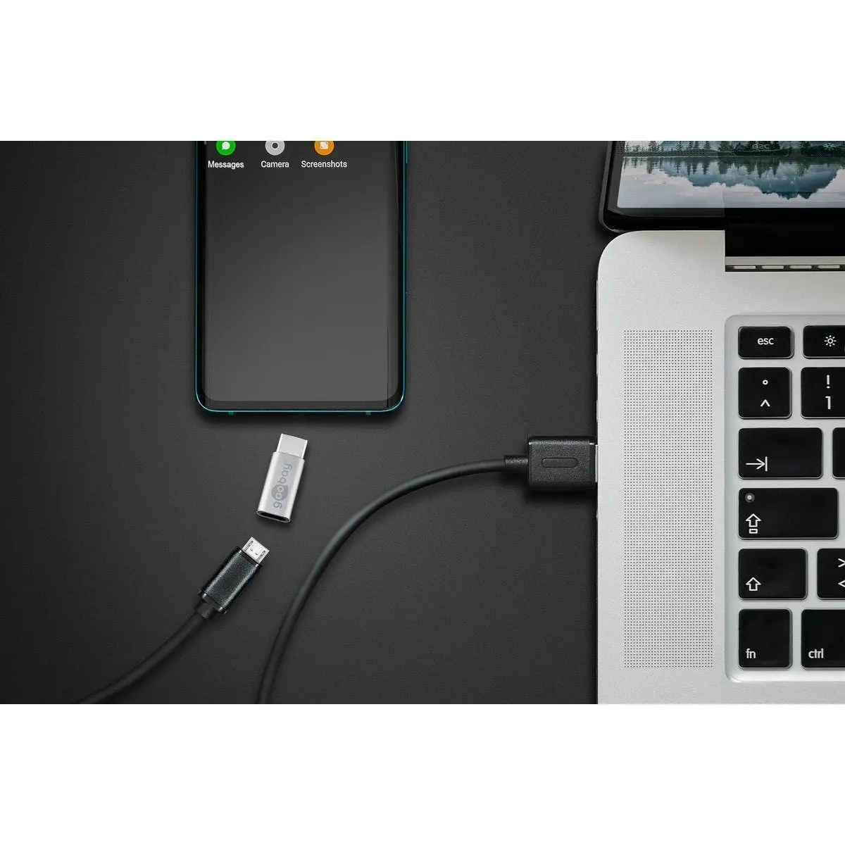 Goobay USB-C male > USB 2.0 Micro female (Type B) - Silver