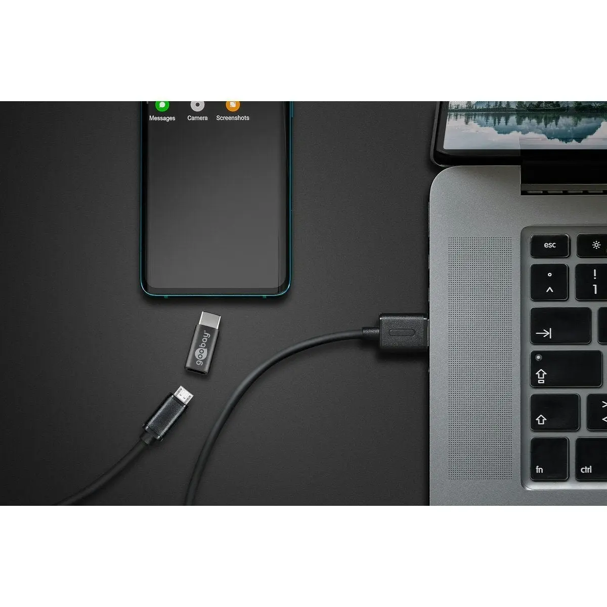 Goobay USB-C male > USB 2.0 Micro female (Type B) - Grey